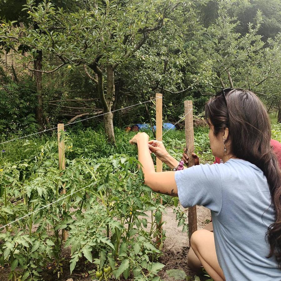 The Royal Orchard Kasol Hotel Bagian luar foto